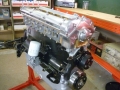 Destined for a replica D type.jpg