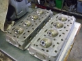V8 daimler heads  GOLD.jpg